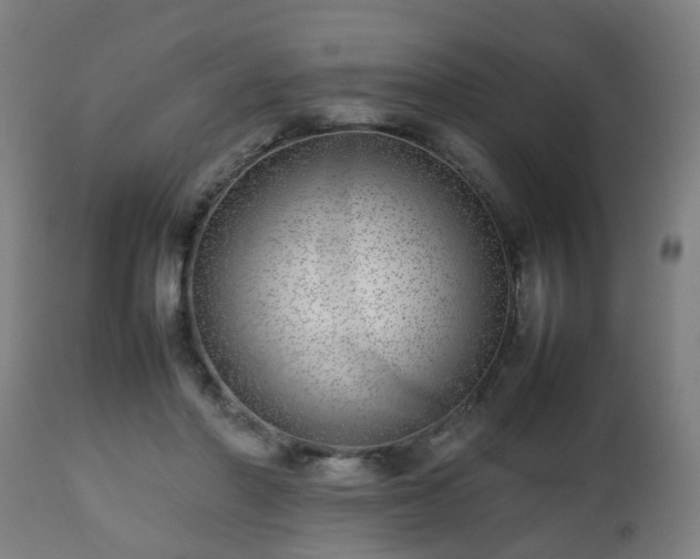 X0000112490406200908241331