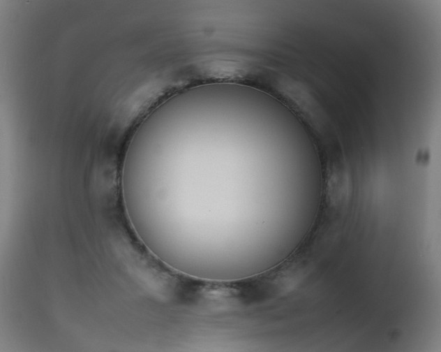 X0000112490407200908241331