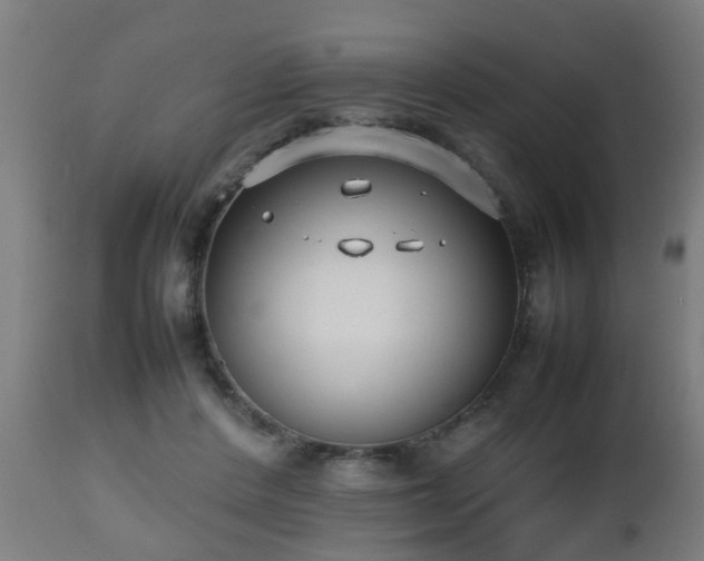 X0000112490408200908241330