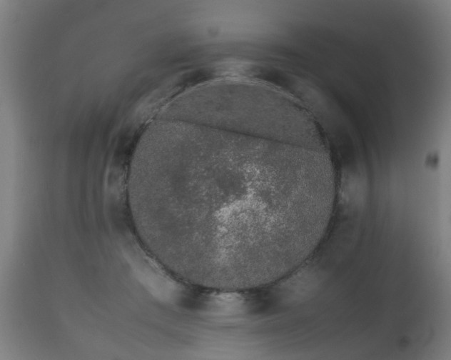 X0000112490409200908241330