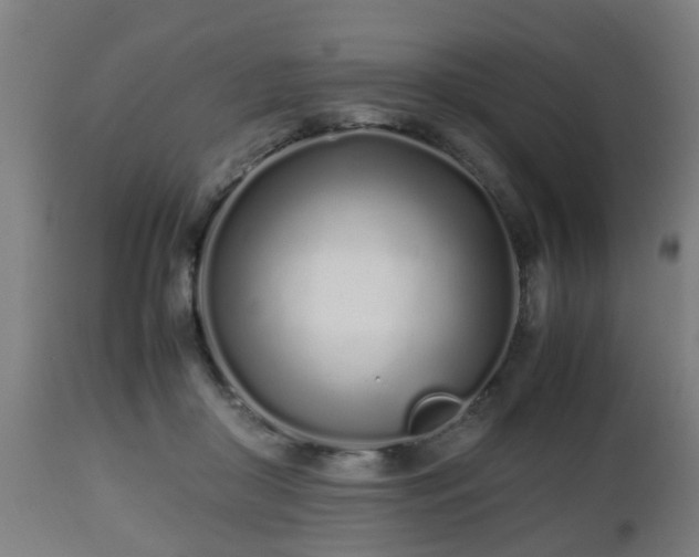 X0000112490410200908241330