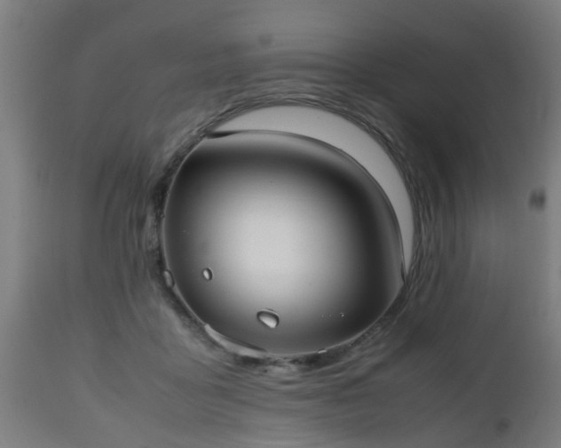 X0000112490411200908241330