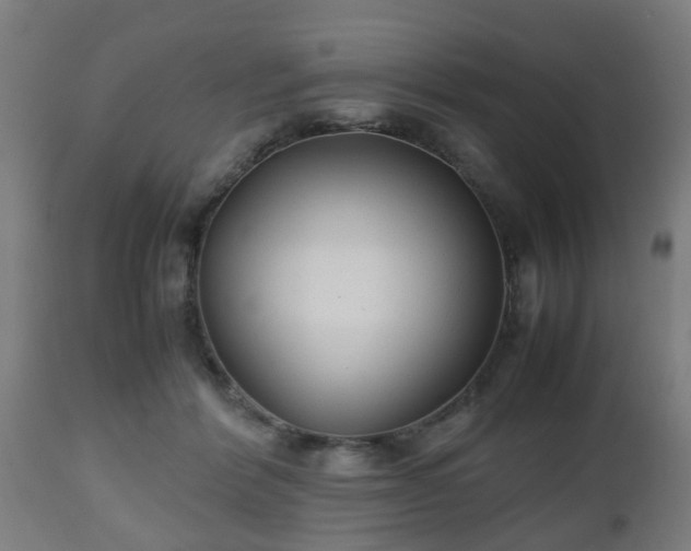 X0000112490412200908241330