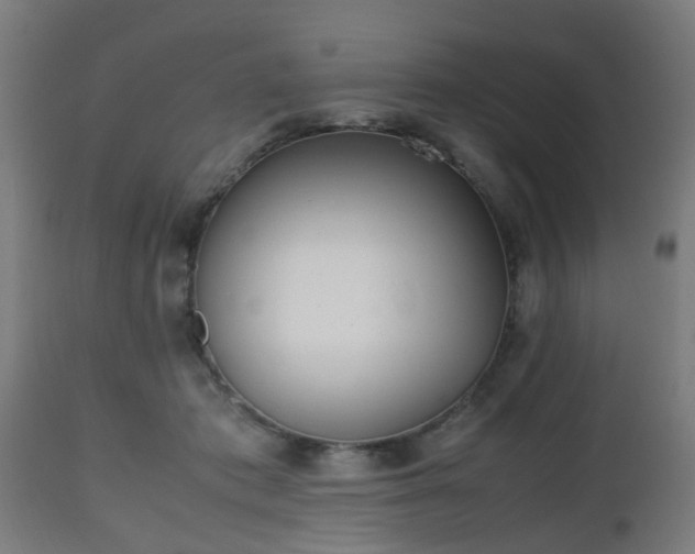 X0000112490413200908241330