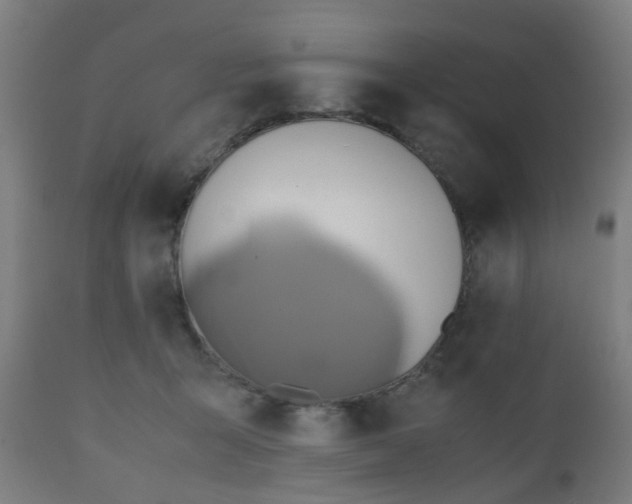 X0000112490415200908241330