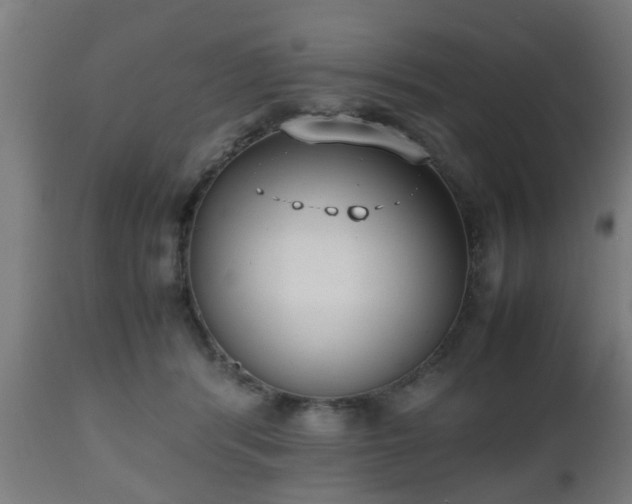 X0000112490416200908241330