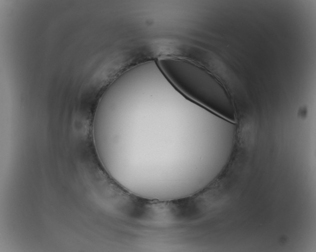 X0000112490417200908241330