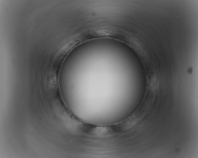 X0000112490418200908241330