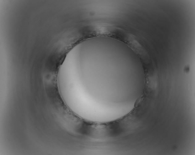 X0000112490419200908241330