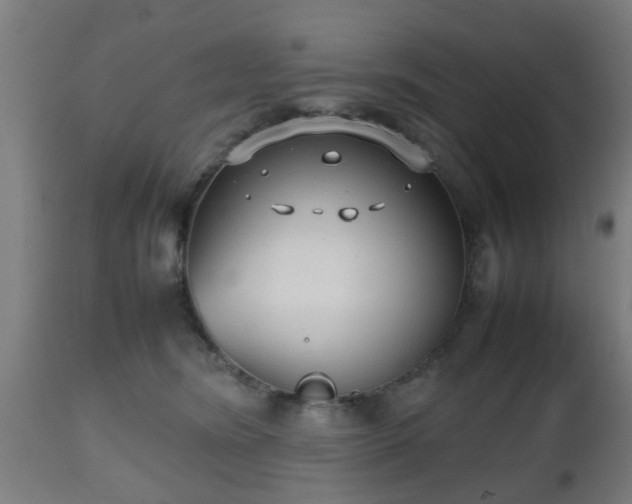 X0000112490420200908241330