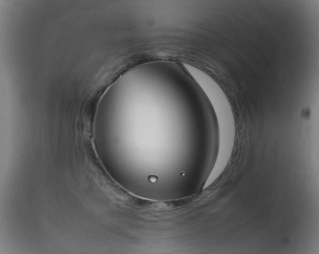 X0000112490421200908241330