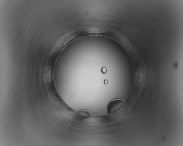 X0000112490422200908241330