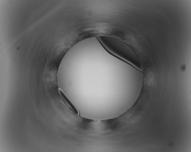 X0000112490425200908241330