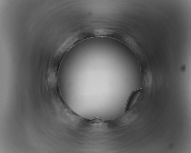 X0000112490426200908241330