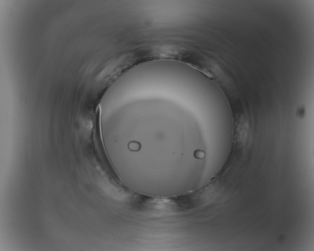 X0000112490427200908241330