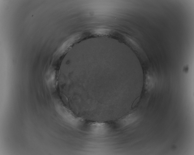 X0000112490428200908241330