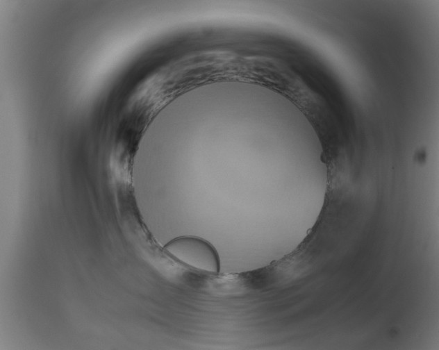 X0000112490431200908241330