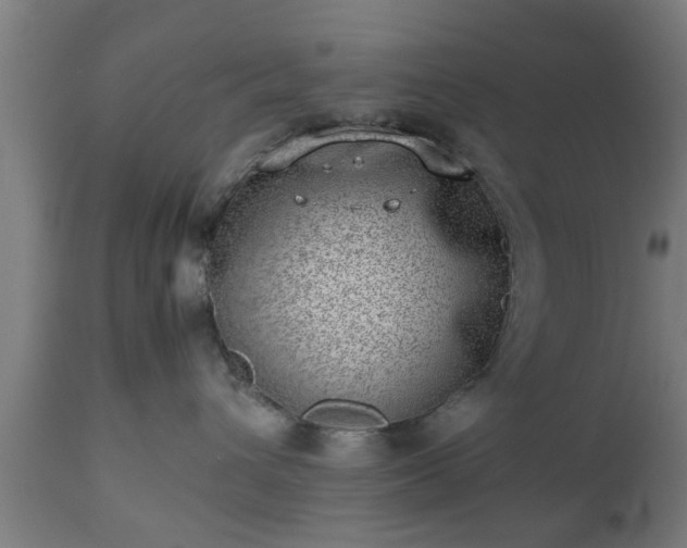 X0000112490432200908241330