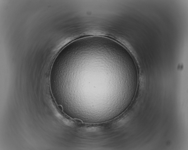 X0000112490433200908241329