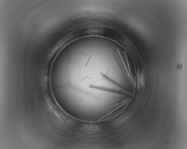 X0000112490435200908241329