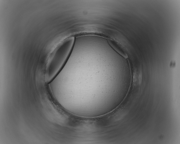 X0000112490436200908241329