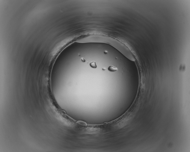 X0000112490437200908241329