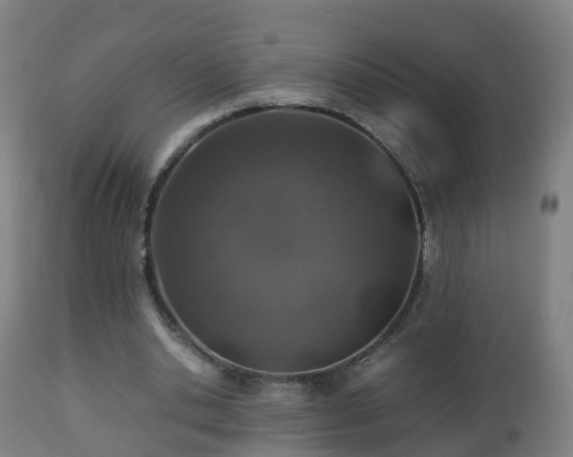 X0000112490438200908241329