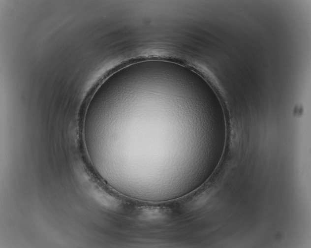 X0000112490439200908241329