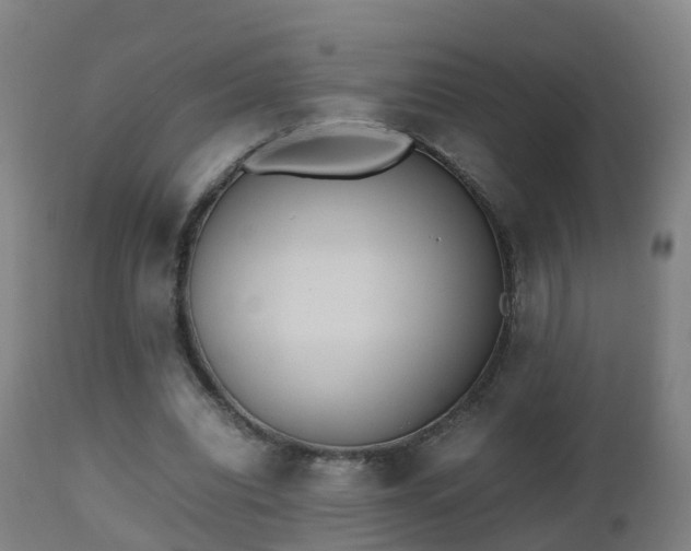 X0000112490440200908241329