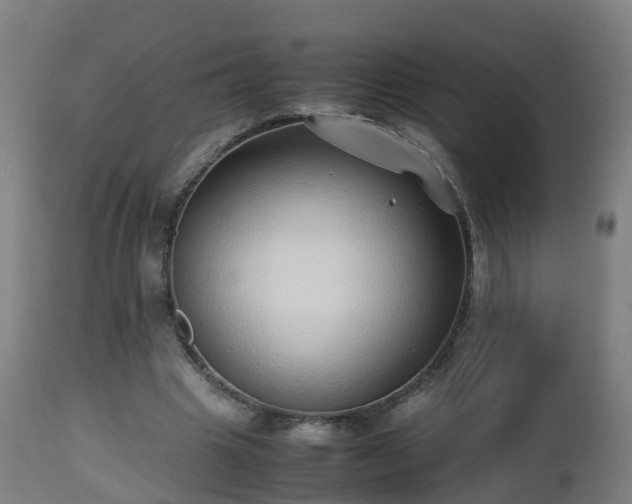 X0000112490441200908241329