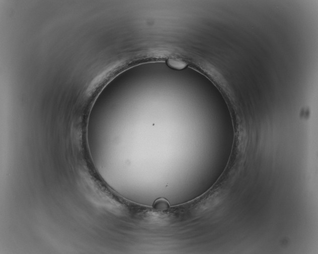 X0000112490442200908241329