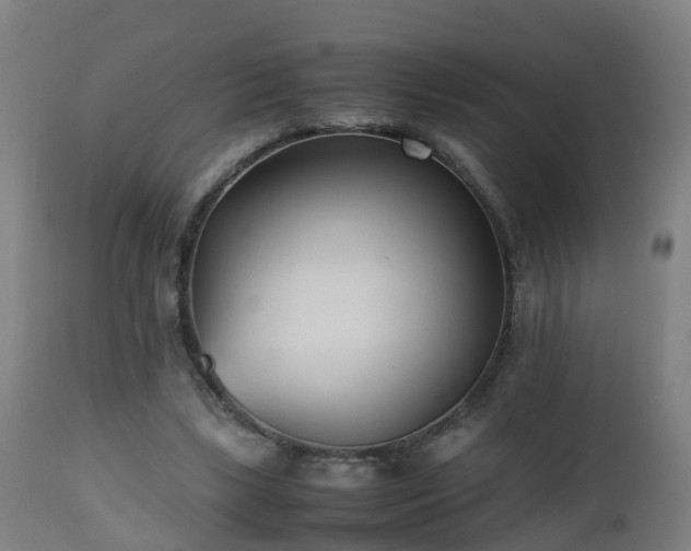 X0000112490443200908241329