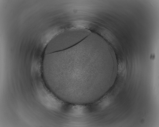 X0000112490444200908241329