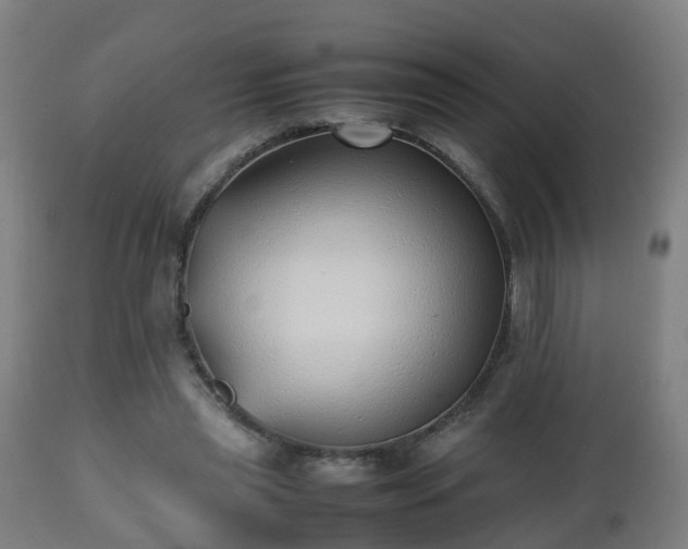 X0000112490445200908241329