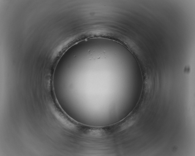 X0000112490446200908241329