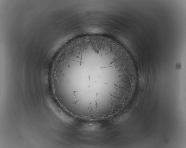 X0000112490447200908241330