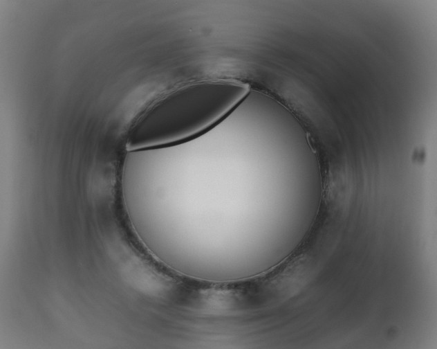 X0000112490448200908241330