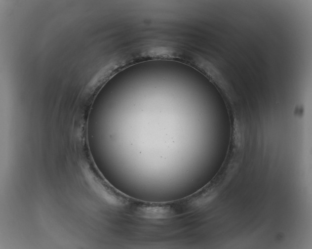 X0000112490449200908241330