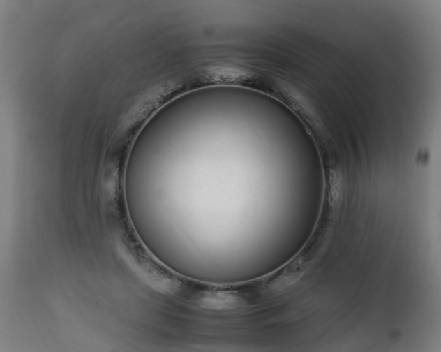 X0000112490451200908241330