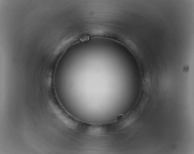 X0000112490454200908241330