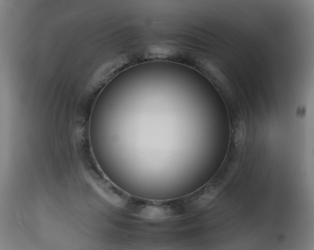 X0000112490455200908241330