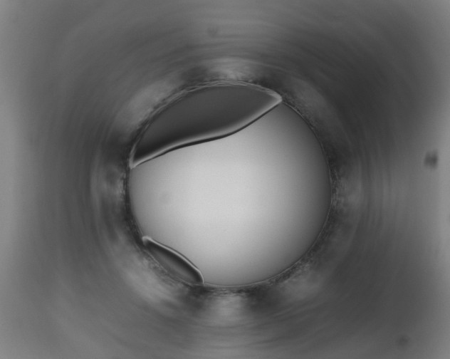 X0000112490456200908241330