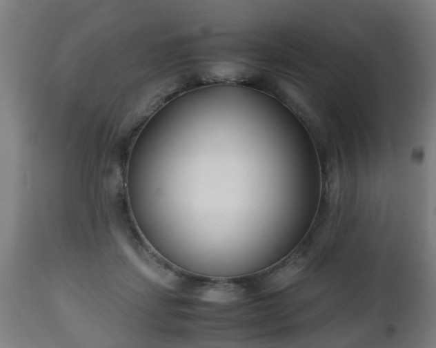 X0000112490459200908241330