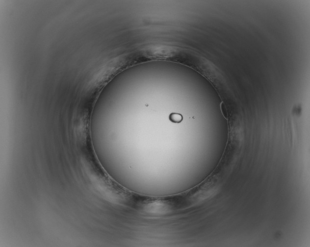 X0000112490460200908241330