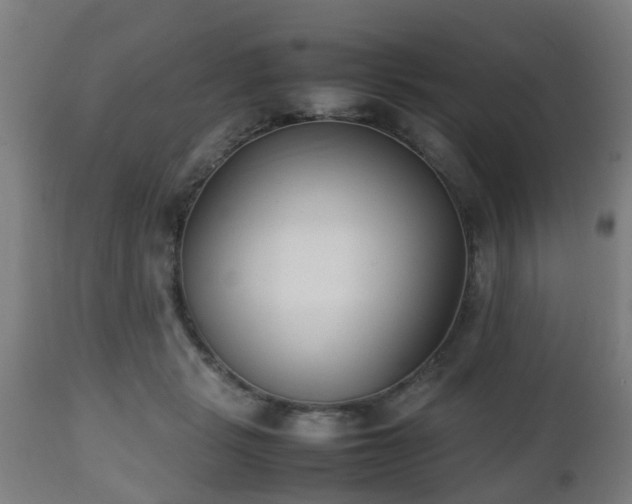 X0000112490461200908241330