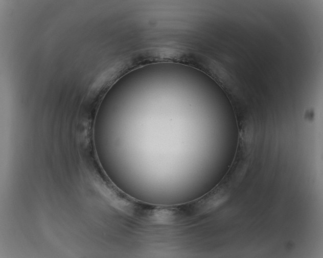 X0000112490462200908241330