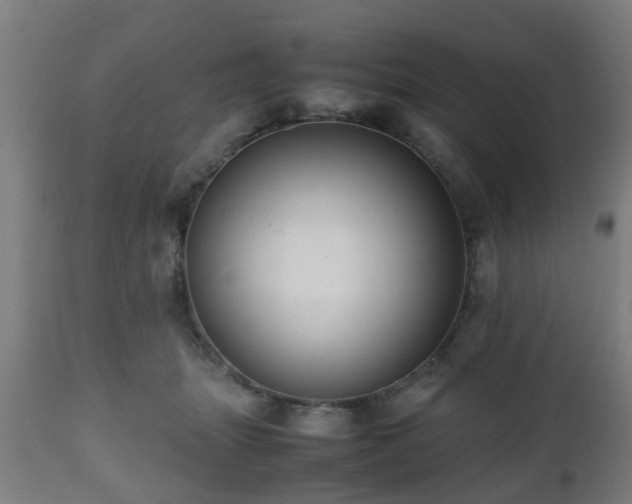 X0000112490463200908241330