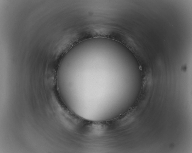 X0000112490464200908241330