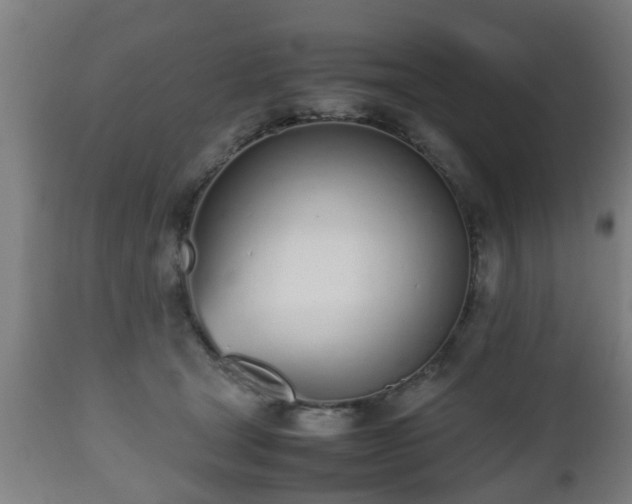 X0000112490465200908241330