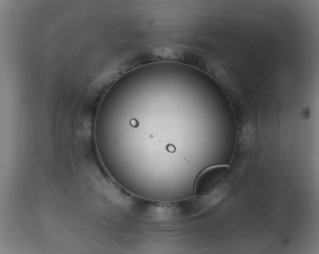 X0000112490466200908241330